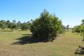 Property photo of 47 Africandar Road Bowen QLD 4805