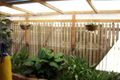 Property photo of 12 Sheperd Circuit Kirwan QLD 4817