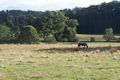 Property photo of 1 Pages Road Calder TAS 7325