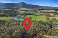 Property photo of 489 Illaroo Road Bangalee NSW 2541