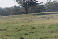Property photo of Patons Road Axe Creek VIC 3551
