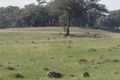 Property photo of Patons Road Axe Creek VIC 3551