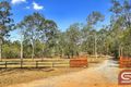 Property photo of 687-697 Teviot Road North Maclean QLD 4280