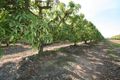 Property photo of 5 Bilwon Road Biboohra QLD 4880