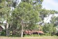 Property photo of 11 Bradshaw Avenue Highbury SA 5089
