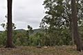 Property photo of 470 Milsons Arm Road Wollombi NSW 2325