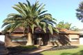 Property photo of 29 Cobbin Street Port Augusta West SA 5700
