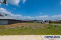 Property photo of 84 Macadamia Circuit Medowie NSW 2318