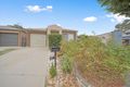 Property photo of 25 Whitmore Crescent Watson ACT 2602