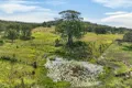 Property photo of 456 Nowendoc Road Killawarra NSW 2429