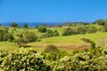 Property photo of 10 Wood Crescent Coopers Shoot NSW 2479
