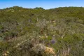 Property photo of 443 Towrang Road Towrang NSW 2580
