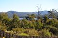 Property photo of 21 Riverview Road Scamander TAS 7215