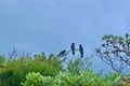 Property photo of 3A Malibu Drive Korora NSW 2450