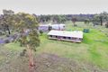 Property photo of 60 J A McGregor Drive Warialda NSW 2402