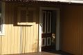 Property photo of 5 Stevenson Lane Taree NSW 2430