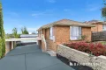 Property photo of 43 Preston Avenue Endeavour Hills VIC 3802