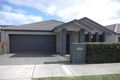 Property photo of 37 Meridian Circuit Berwick VIC 3806
