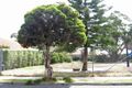 Property photo of 7-19 Beresford Street Kew East VIC 3102