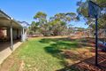 Property photo of 866 Thiele Road Loveday SA 5345