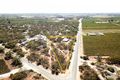 Property photo of 866 Thiele Road Loveday SA 5345