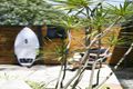 Property photo of 25 Wakefield Street North Manly NSW 2100