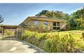 Property photo of 24 Washusen Road Heathmont VIC 3135