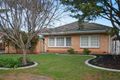 Property photo of 33 Harvey Terrace Glenelg North SA 5045