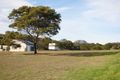 Property photo of 3 Patsy Court Coles Bay TAS 7215