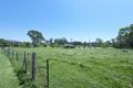 Property photo of 15 Dawson Street Stroud NSW 2425