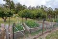 Property photo of 25 Turn Creek Road Grove TAS 7109