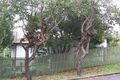 Property photo of 64 Dovercourt Toowong QLD 4066