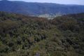 Property photo of 132 Repeater Station Road Springbrook QLD 4213