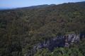 Property photo of 132 Repeater Station Road Springbrook QLD 4213