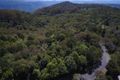 Property photo of 132 Repeater Station Road Springbrook QLD 4213