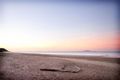 Property photo of 5 Pacific Drive Blacks Beach QLD 4740