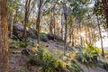 Property photo of 195 McCarrs Creek Road Church Point NSW 2105