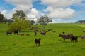 Property photo of 178 Quarry Road Macclesfield SA 5153
