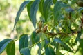 Property photo of 3645 Nowendoc Road Caffreys Flat NSW 2424