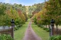 Property photo of 25 Hawkey Road Menangle NSW 2568