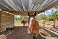 Property photo of 70 Canarium Road Lambells Lagoon NT 0822