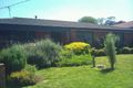 Property photo of 3 Alter Court Skye VIC 3977