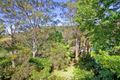 Property photo of 54 Mangrove Road Narara NSW 2250