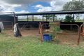 Property photo of 1482 Woodstock Giru Road Majors Creek QLD 4816