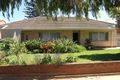 Property photo of 5 Hammersmith Avenue Edwardstown SA 5039