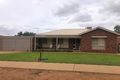 Property photo of 11 Nulty Drive Robinvale VIC 3549
