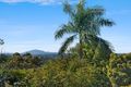 Property photo of 27 Grant Street Buderim QLD 4556