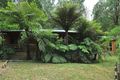 Property photo of 5 Grey Gum Court Tecoma VIC 3160