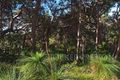 Property photo of 6 Depuch Close Eagle Bay WA 6281