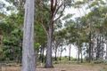 Property photo of 41 Cleland Drive St Helens TAS 7216